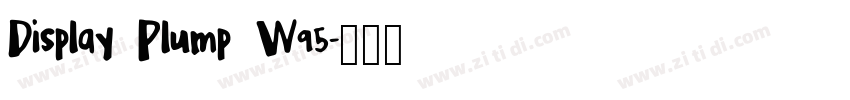 Display Plump W95字体转换 Display Plump W95字体转换